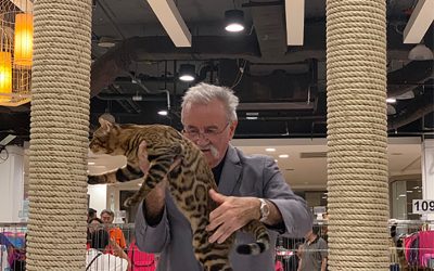 CFA International Cat Show เวทีประกวดแมวในกรุงเทพ ครั้งที่ 4